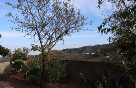 Casa rural Finca Don Amado, San Mateo - Foto 52