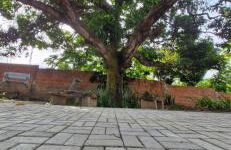 Fazendinha Dona Cândida - Foto 18