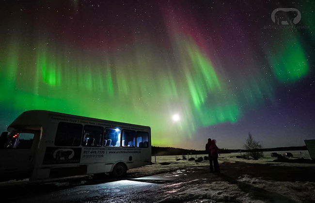 Tour dell'aurora boreale - Foto 12