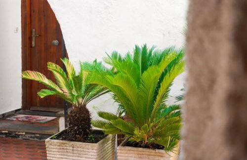 Monolocale a 50 metri dal mare - Foto 7