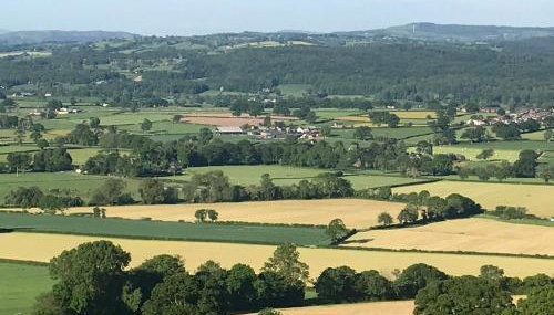 The Garden Cottage - Foto 2