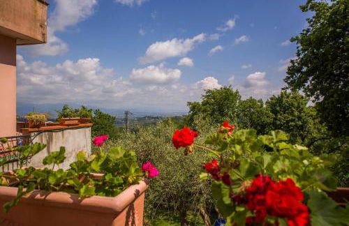 Poggio della Roverella Country House - Foto 42