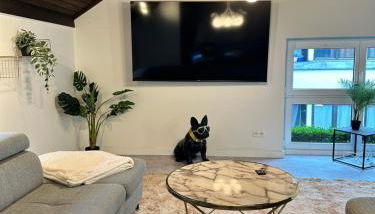 City-Apartment mit Dachterrasse & Massagesessel in der Fußgängerzone K4 - Foto 5