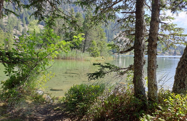 Alpes et Lac 2 - Foto 22