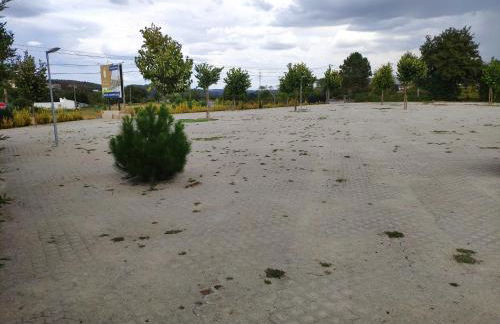 Solar de Maceira - Foto 12