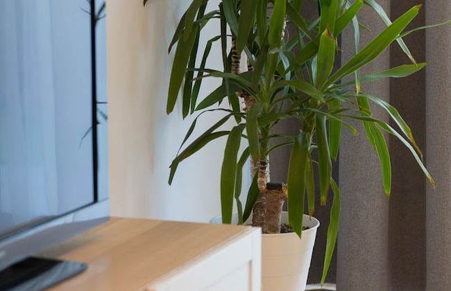 Krasinskiego Comfy Apartament by Renters - Foto 28