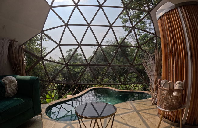 Bosque Geométrico - Foto 18