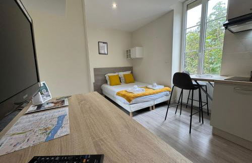 Appart Hôtel Entre les 2 Roches - Free Parking - BY PRIMO - Foto 48