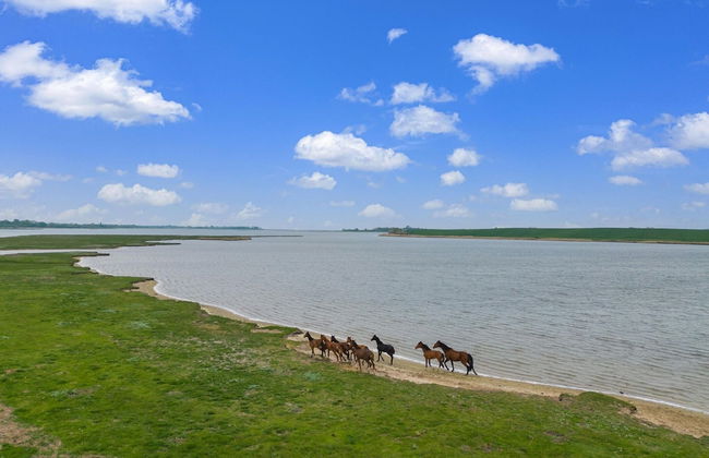 Snug Bungalow in Insel Poel Germany near Beach - Photo 35
