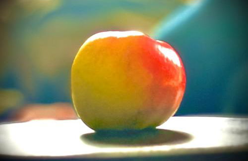 Domaine du Bal - Photo 22