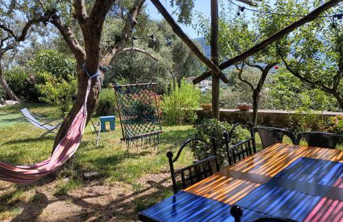 Amalfi Coast, Positano, Sorrento, Capri, Garden, Villa Carcara - Foto 8