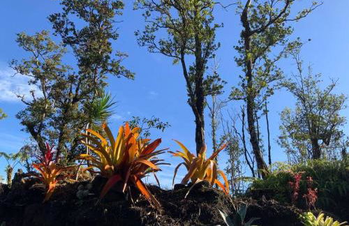 Exotic Garden cottage at amazing volcano fissure - Foto 56