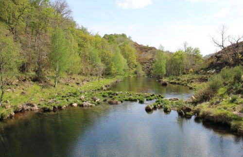 Casa Boletus - Foto 77
