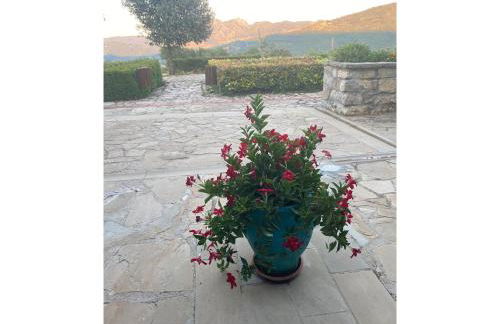 Foresteria San Leo - Foto 24