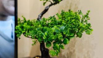 Cozy Modern Flat Walsall Town Centre with Wi-Fi - Foto 5