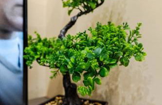 Cozy Modern Flat Walsall Town Centre with Wi-Fi - Foto 5