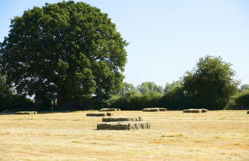 Pear Tree Cottage Shropshire - Foto 12