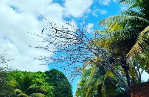 Casa do sossego - Foto 67