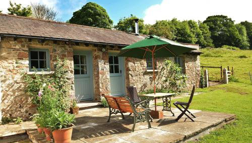 Dandelion Cottage, Amroth - Foto 1, sunbed, Garden view