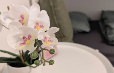 Ferienwohnung - Foto 2