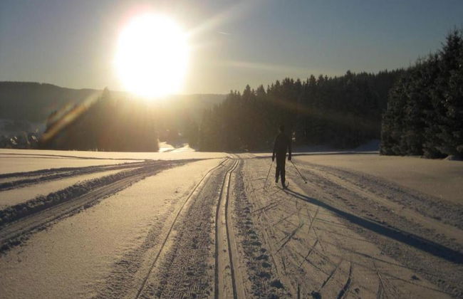 Cozy Ore Mountain Chalet - Foto 29