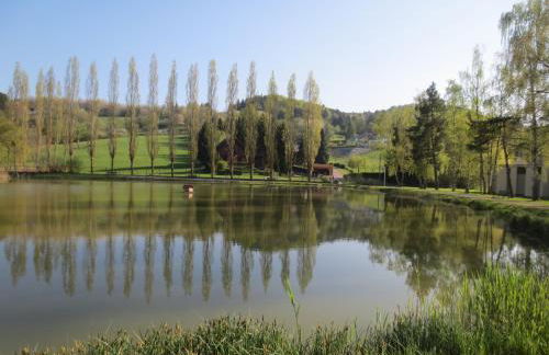La Maison des Fontaines D'alsace - Foto 13