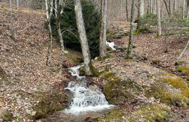 Mountain Heaven - Foto 78