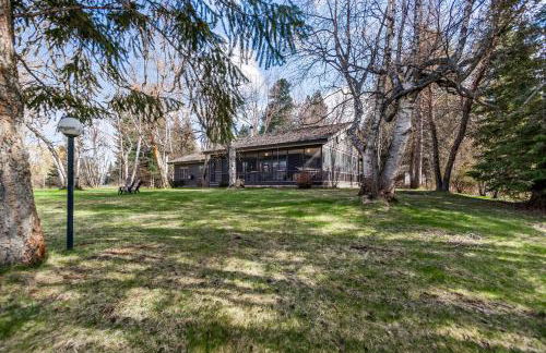 The Wild Rose - Foto 29