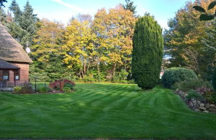Ferienhaus Hof Amelung - Foto 16