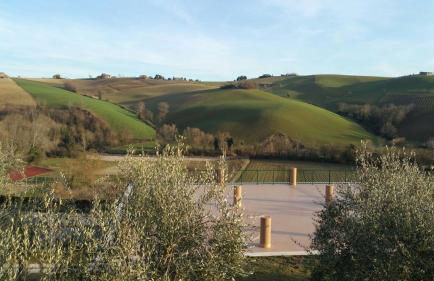 Le Vigne di Clementina Fabi - Foto 42