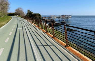 Bellavista - Foto 22