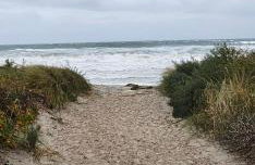 Ostseerauschen - Foto 17