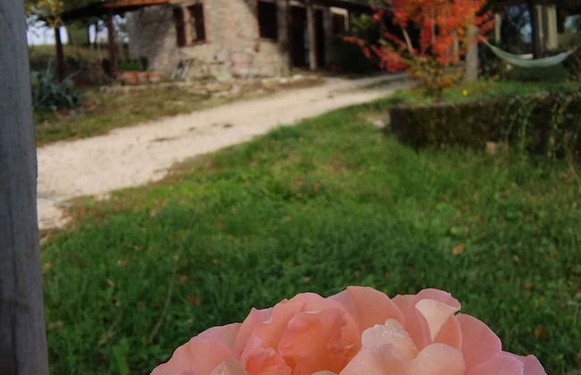 Agriturismo Casa Greppo - Il Noce - Foto 64