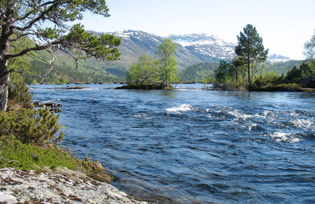 Myravatnet - Foto 40