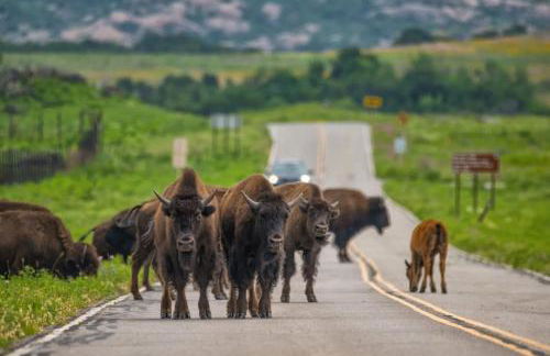 House at the Refuge - Relax & Take in Nature - Foto 54