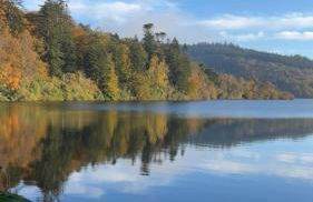 Mourneview Lodge - Foto 49