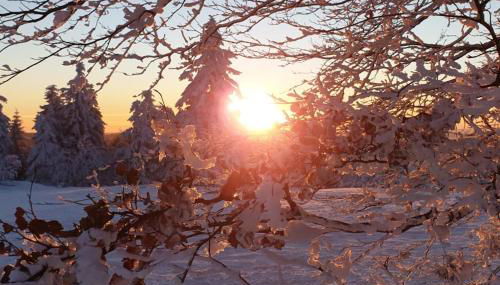 Ferienwohnung Merle in Winterberg-Altastenberg - Photo 4