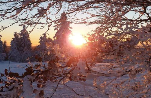 Ferienwohnung Merle in Winterberg-Altastenberg - Photo 4