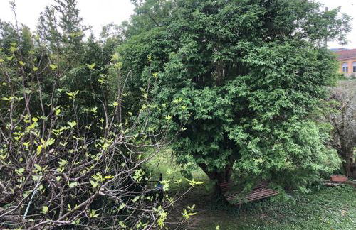 Condrieu et parking voiture vélo 2 ème étage - Foto 52