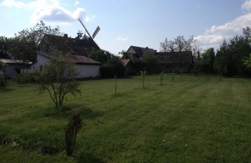 Ferienhaus Wilhelm Spreewald - Foto 21