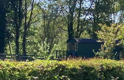 Shepherds hut, Eco, Log burner Hot tub NY moors - Foto 26