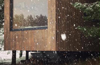 Na skraju gaju - Foto 24