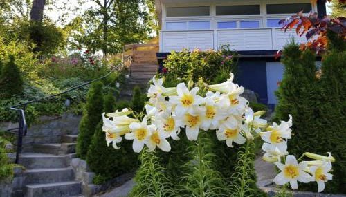 Holiday Home in Süd-Waldhanglage mit Seeblick by Interhome - Photo 3