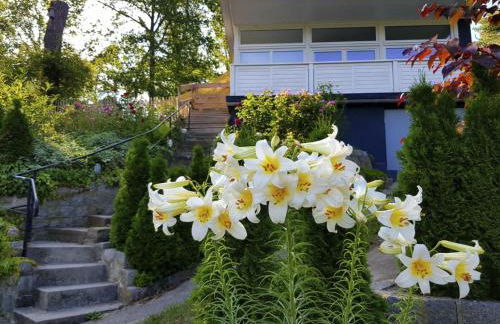 Holiday Home in Süd-Waldhanglage mit Seeblick by Interhome - Foto 3