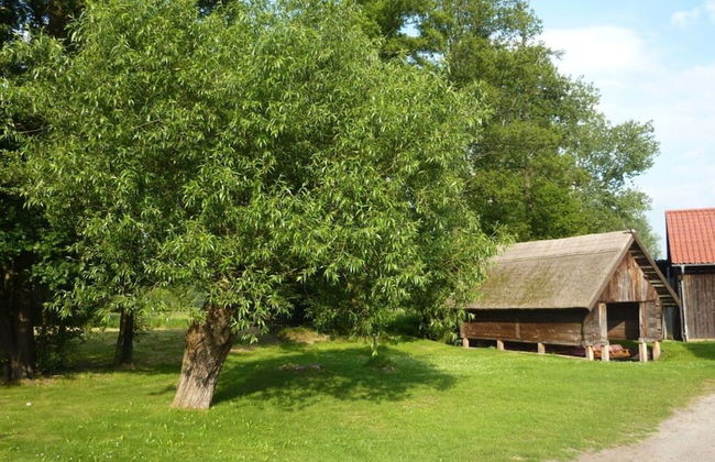 Spreewald - Pension Spreeaue - Foto 15