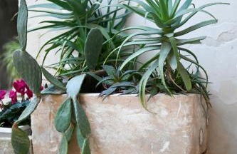 Dimora S.Vito - Foto 44