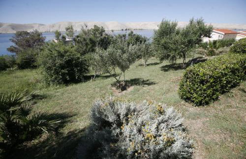 Apartments Roza - Foto 23