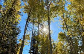 BunkHouse 1960's Camp Vibe with Timeless Wet Bar - Foto 3