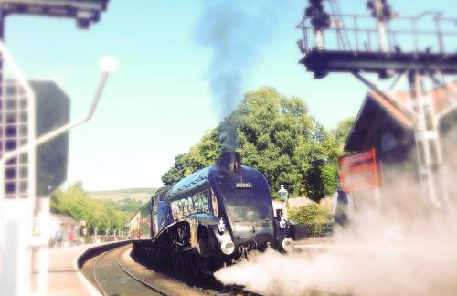 The Yorkshireman - Foto 20