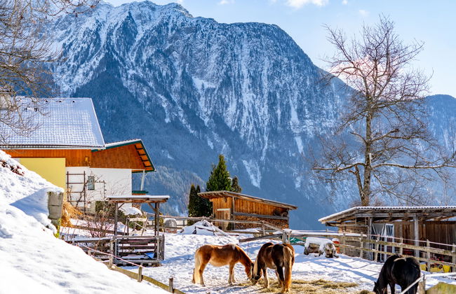 Ferienwohnung Plattner - Foto 80